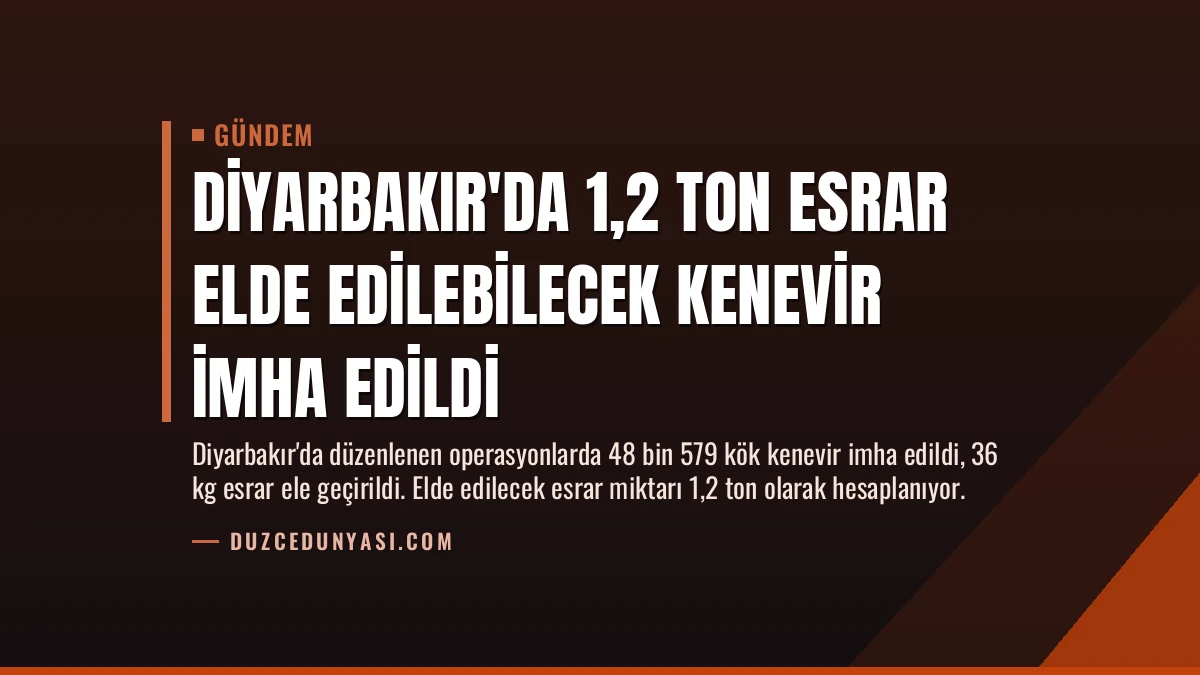 Diyarbakır’da 1,2 Ton Esrar Elde Edilebilecek Kenevir İmha Edildi