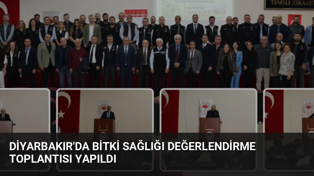 Diyarbakır’da Bitki Sağlığı Değerlendirme Toplantısı Yapıldı