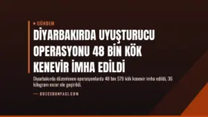 Diyarbakırda Uyuşturucu Operasyonu 48 Bin Kök Kenevir İmha Edildi