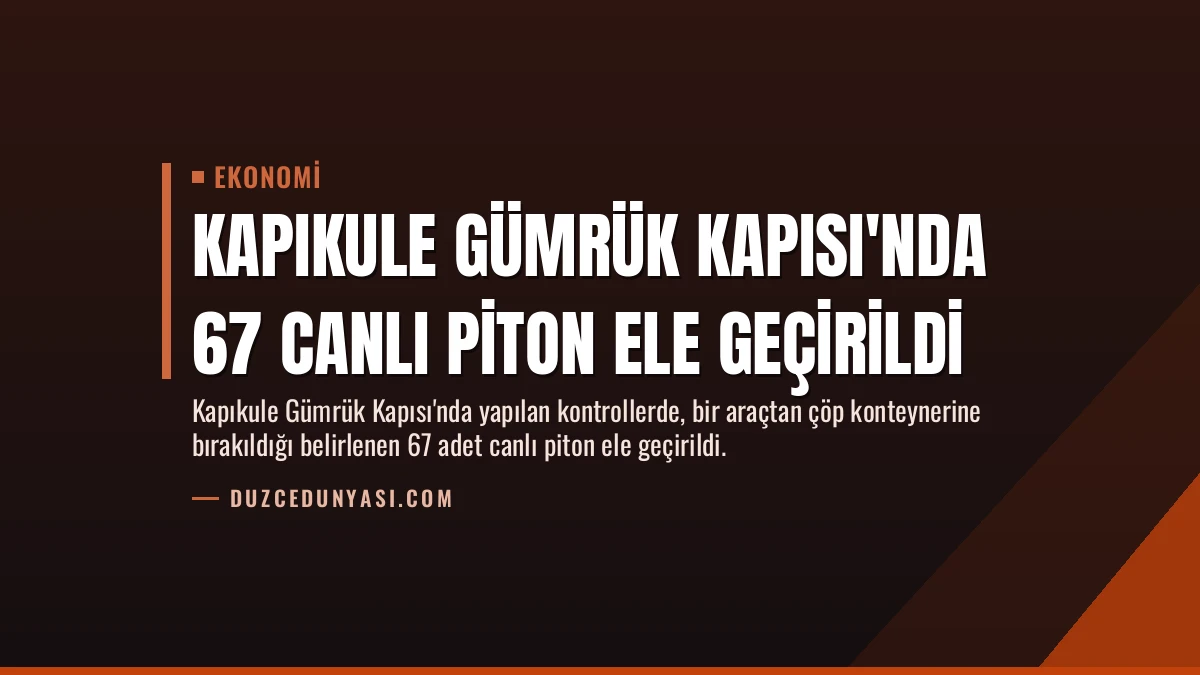 Kapıkule Gümrük Kapısı’nda 67 canlı piton ele geçirildi