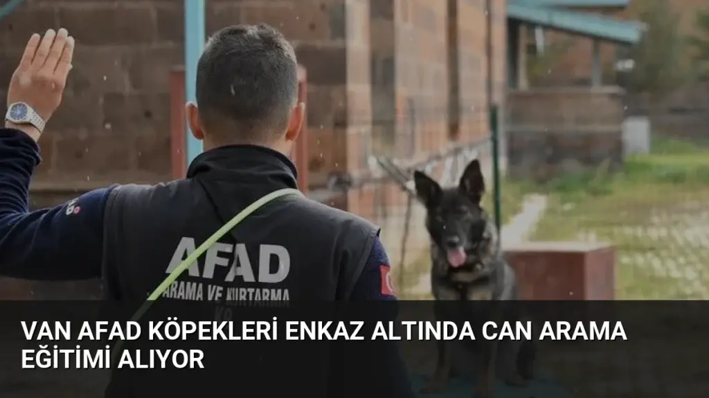 Van AFAD Köpekleri Enkaz Altında Can Arama Eğitimi Alıyor