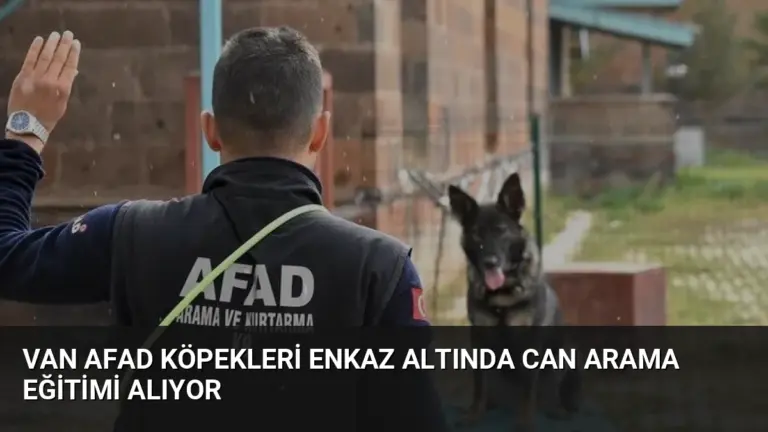 Van AFAD Köpekleri Enkaz Altında Can Arama Eğitimi Alıyor